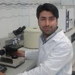 وحید محمدی