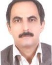 محمدامير عبيدی نيا