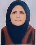 هاله زرگرزاده