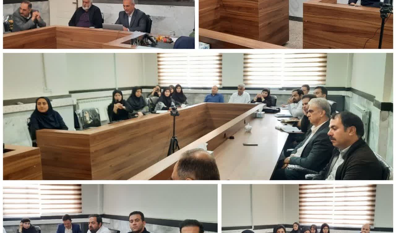 برگزاری نشست تخصصی پاسداشت زبان فارسی و بزرگداشت حکیم ابوالقاسم فردوسی