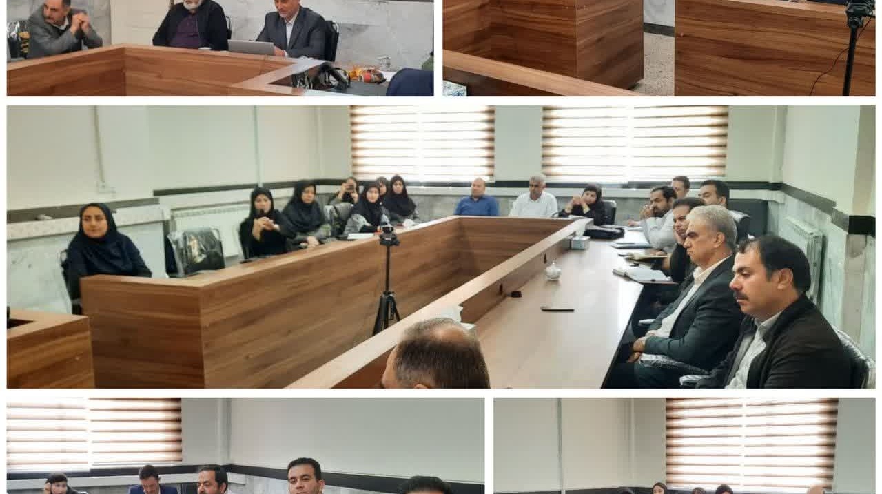 برگزاری نشست تخصصی پاسداشت زبان فارسی و بزرگداشت حکیم ابوالقاسم فردوسی